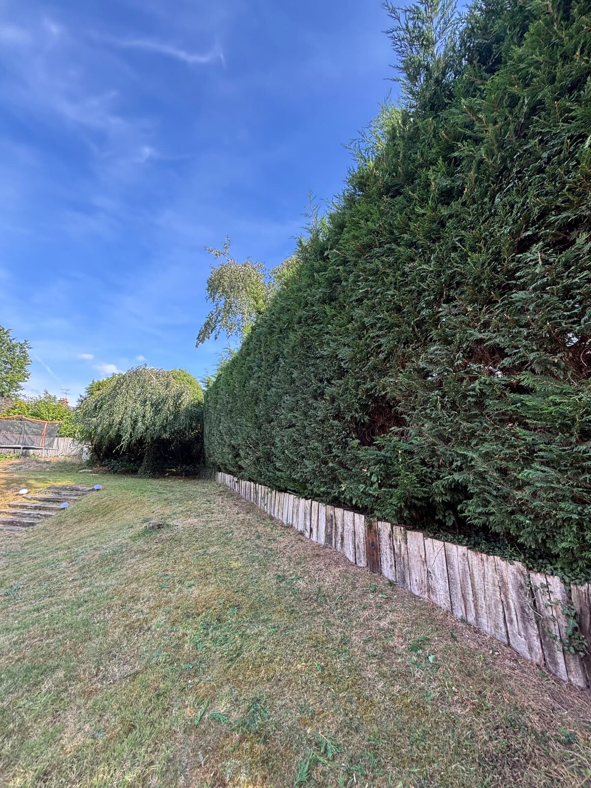 Hedge trim & edging