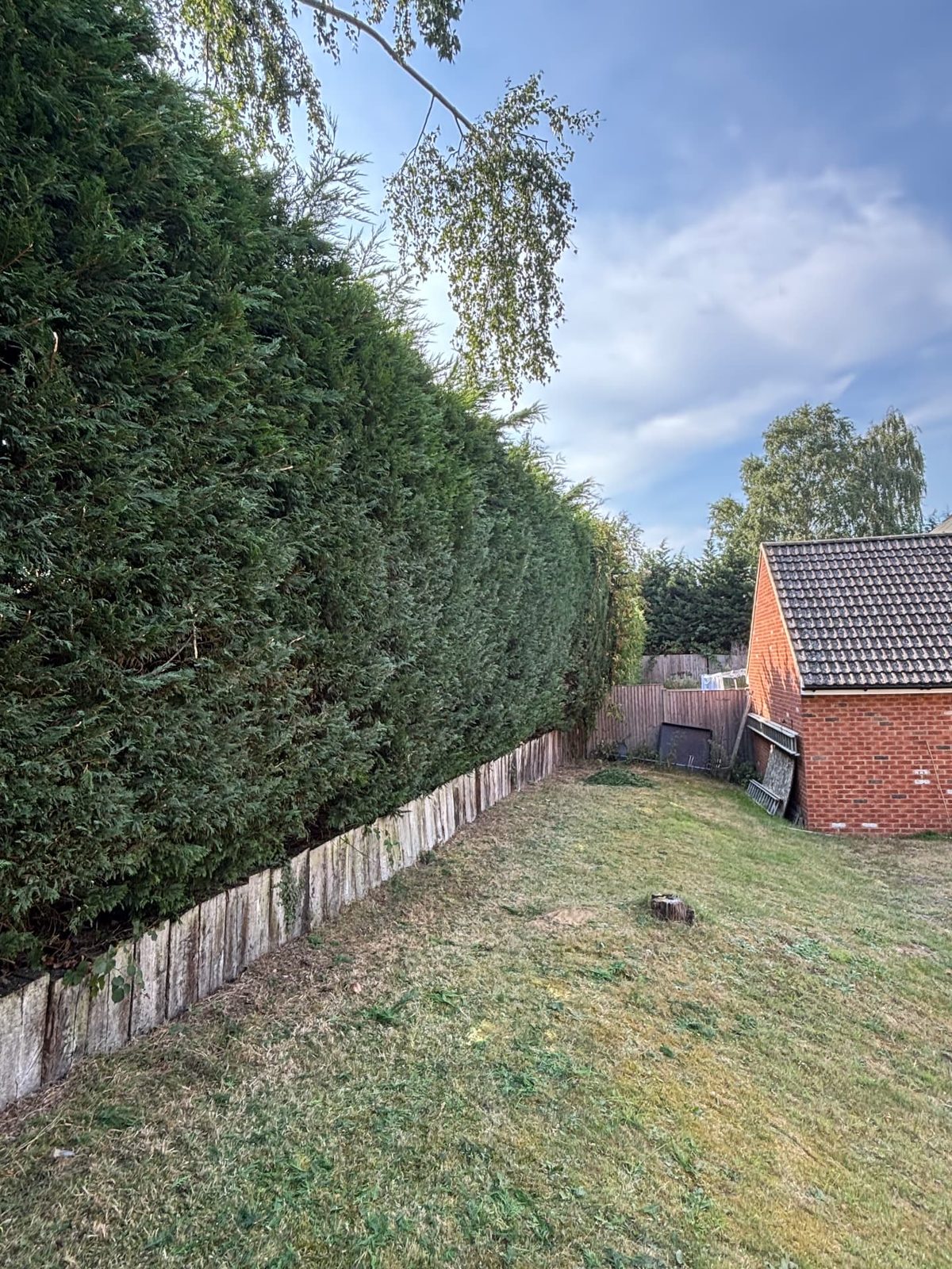 Hedge trim & edging — after