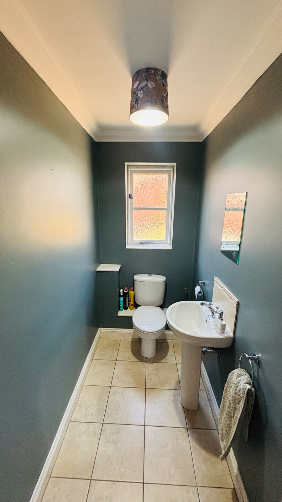Bathroom repaint